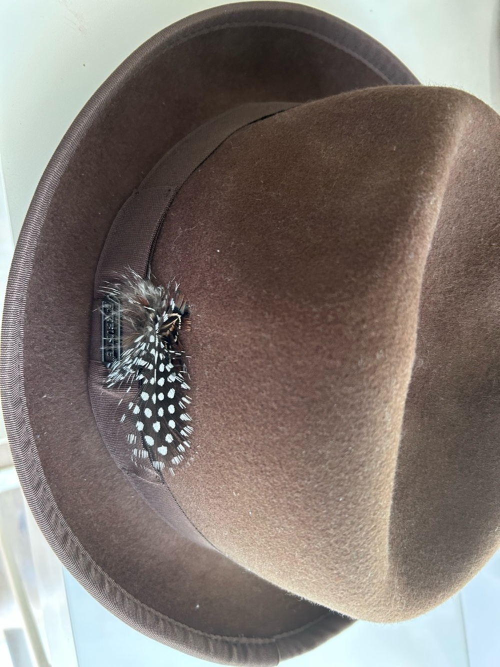 Stetson Dark Brown Felt Fedora with Spotted Feather Trim